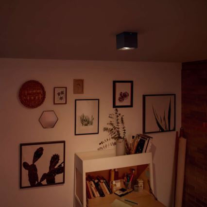 Philips 50491/30/P0 - Lampa spot LED MYLIVING BOX 1xLED/4,5W/230V