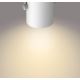 Philips - LED Lampă spot dimmabilă 1xLED/4.5W/230V