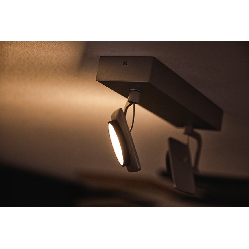 Philips 53192/48/P0 - Spot LED MILLENNIUM 2xLED/4,5W/230V