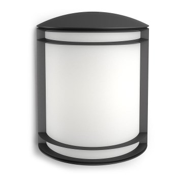 Philips - Aplică de exterior LED/6W/230V IP44