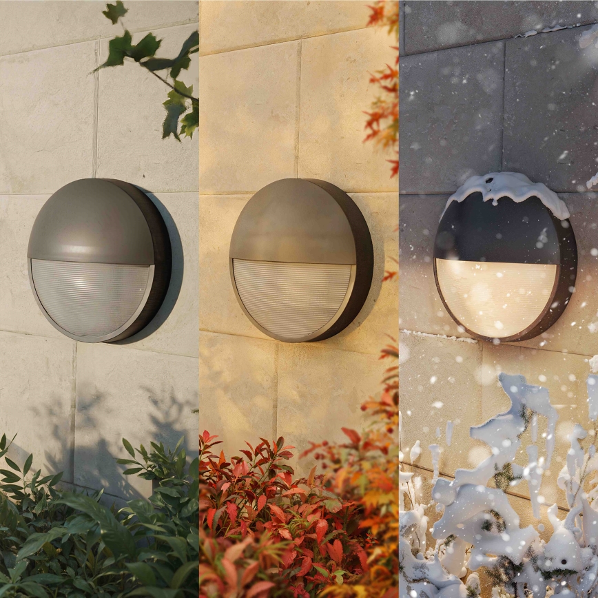 Philips - Aplica de perete pentru exterior CAPRICORN LED/4,3W/230V IP44