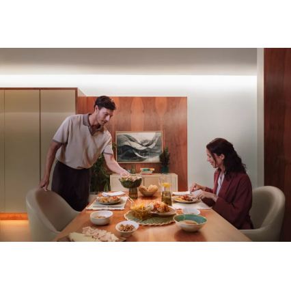 Philips - bandă LED RGBW dimabilă Hue FLUX 3 m LED/29W/230V 2200-6500K + Hue Bridge