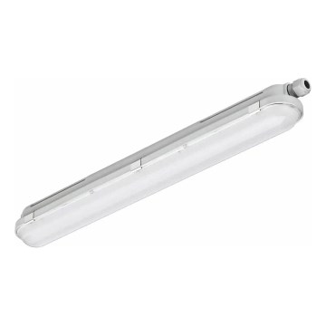 Philips - Corp de iluminat tehnic tip fluorescent LED CORELINE LED/25W/230V 120 cm IP66