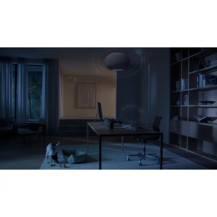 Philips - Hue Bridge Pro, negru