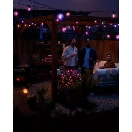 Philips Hue FESTAVIA ghirlandă LED RGBW extensibilă, dimabilă, 30 LED, 21 m, IP65
