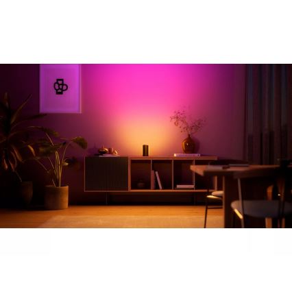 Philips Hue PLAY Wall Washer - Set de 2 proiectoare LED RGBW, dimabile, 20W/230V, 2000–6500K, negru
