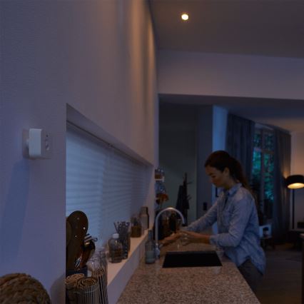 Philips HUE - Senzor
