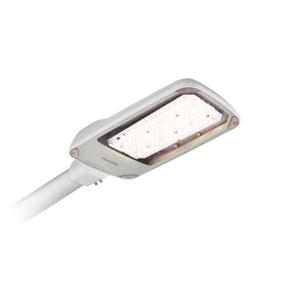 Philips - Lampă stradală LED CORELINE MALAGA LED/69W/230V 3000K IP65