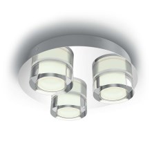 Philips - LED lampa baie 3xLED/4,5W/230V