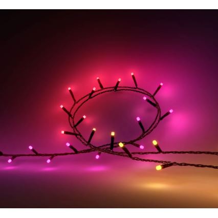 Philips - Ghirlandă LED RGBW reglabilă pentru exterior HUE WHITE AND COLOR AMBIANCE 500xLED 44,4 m 2000-6500K IP54