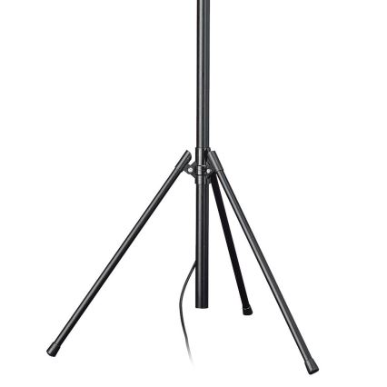 Philips Massive 74909/21/30 - Lampadar FARO 1xR7s118/300W