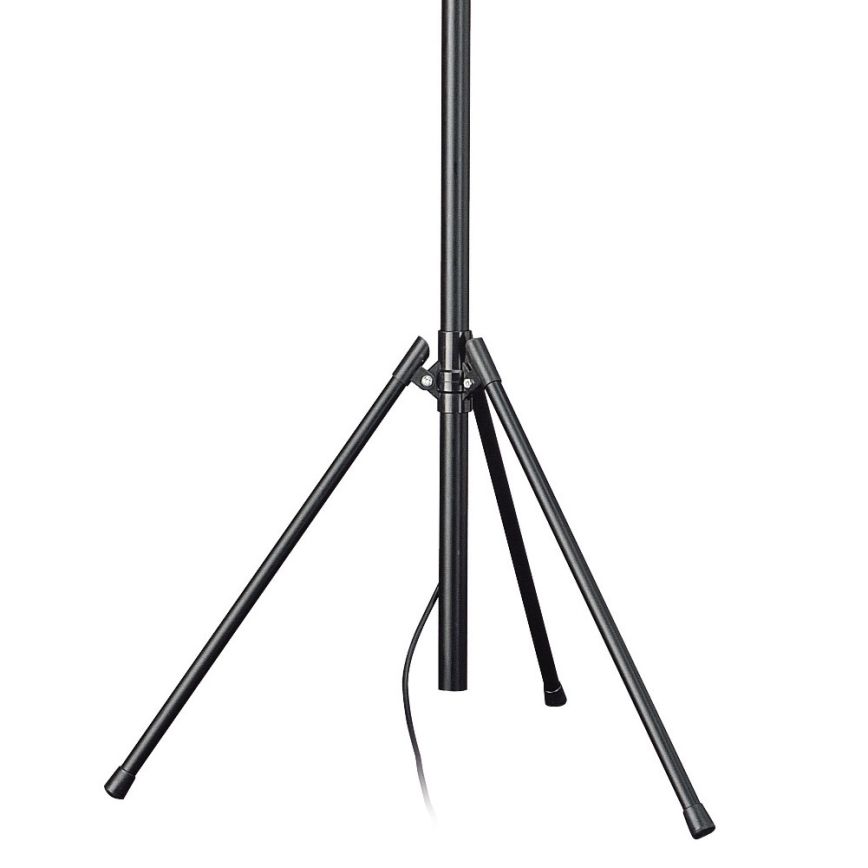 Philips Massive 74909/21/30 - Lampadar FARO 1xR7s118/300W