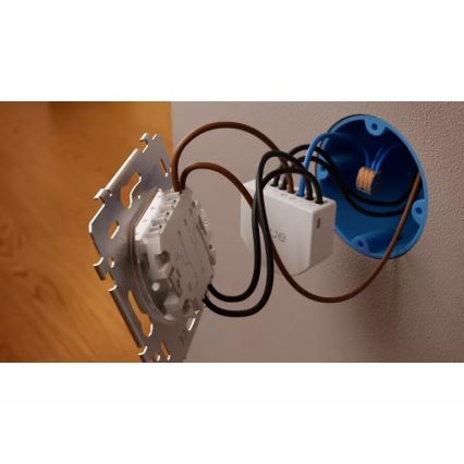 Philips - Modul pentru întrerupător de perete cu 2 butoane Hue