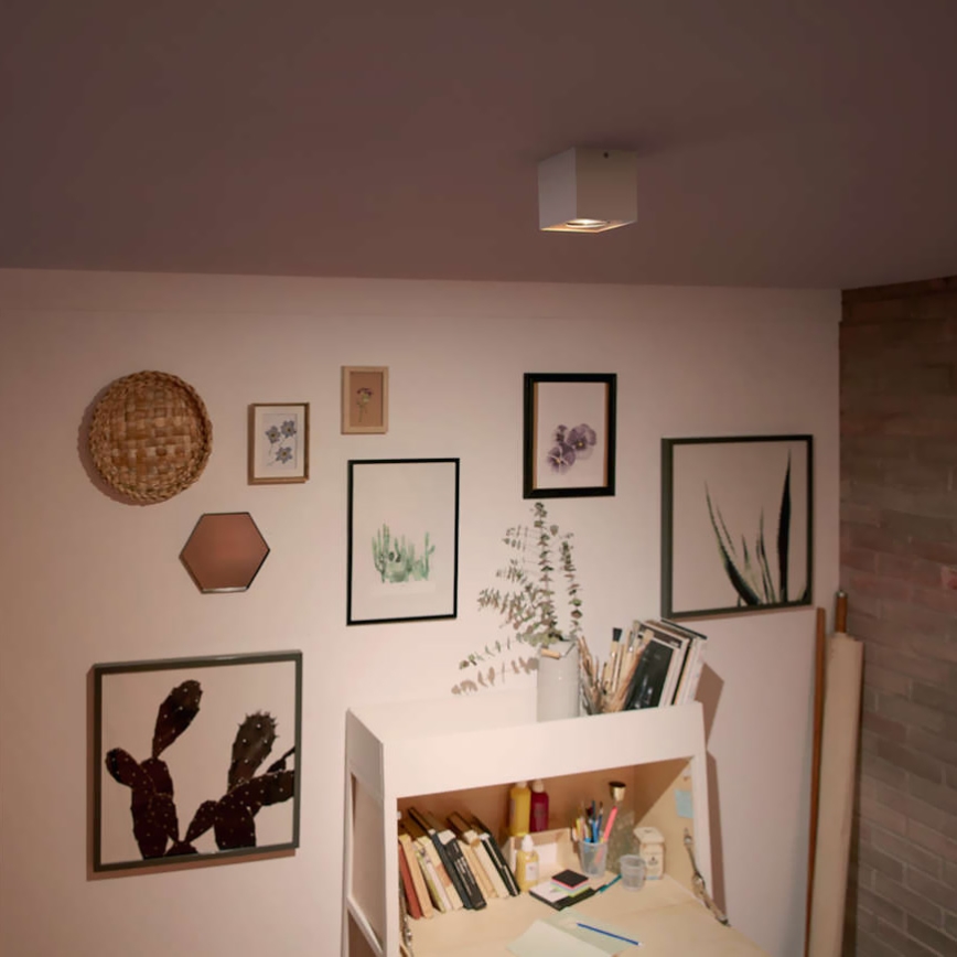 Philips 50491/31/P0 - Lampa spot LED MYLIVING BOX 1xLED/4,5W/230V