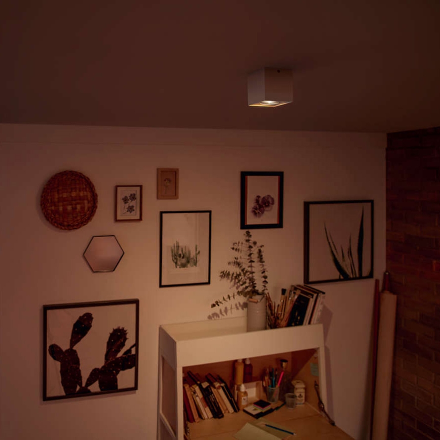 Philips 50491/31/P0 - Lampa spot LED MYLIVING BOX 1xLED/4,5W/230V