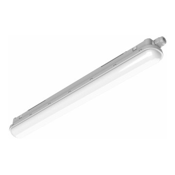 Philips Pila - corp de iluminat tehnic tip tub LED/40W/230V 120 cm IP65