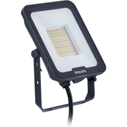 Philips - Proiector LED LEDINAIRE ALL-IN LED/30W/230V 3000/4000/6500K IP65