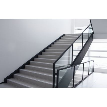 Philips - Aplica de perete LED cu senzor PROJECTLINE LED/15W/230V IP54