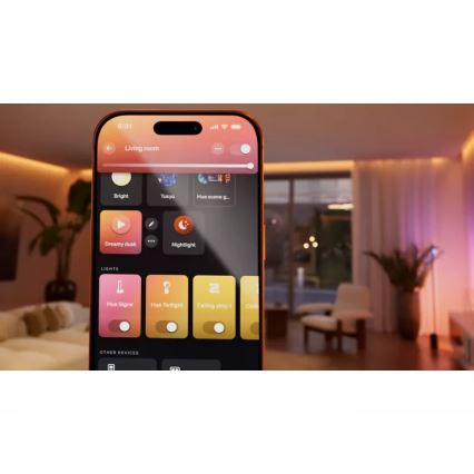 Philips - Set de 2 module Hue