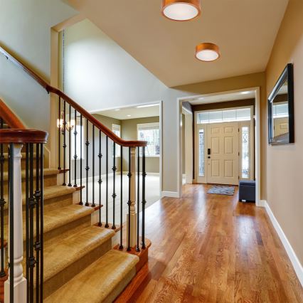 Lustr de tavan 1xE27/60W/230V pin