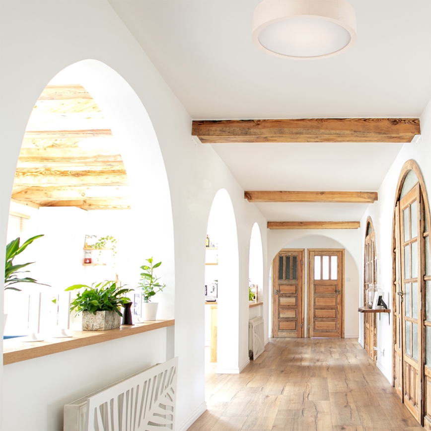 Lustr de tavan 1xE27/60W/230V pin