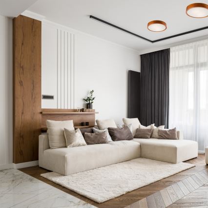 Lustr de tavan 2xE27/60W/230V pin