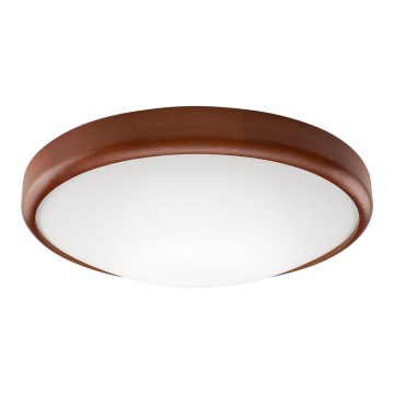 Plafonier LED 1xLED/24W/230V