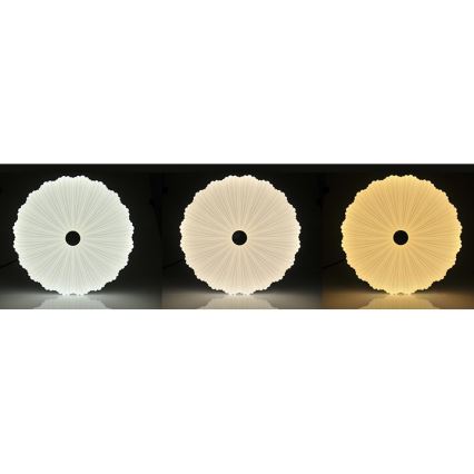 Plafonier LED reglabil FLOWER LED/36W/230V cu telecomandă