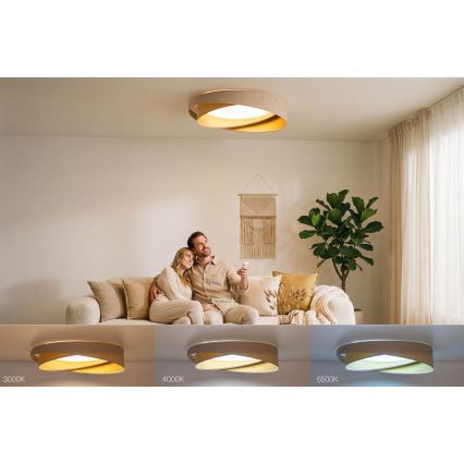 Plafonieră LED reglabilă SMART GALAXY MODERN LED/24W/230V 3000-6500K Ø 55 cm bej/auriu + telecomandă
