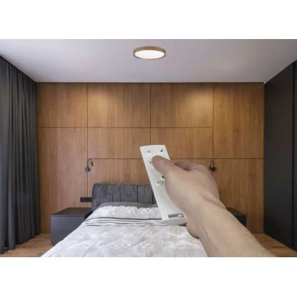 Plafonieră LED dimmabilă ILVI LED/30W/230V 2700-6500K diametru 40 cm bej + telecomandă