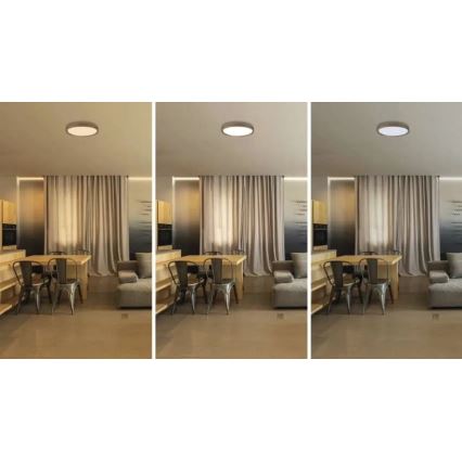 Plafonieră LED dimmabilă ILVI LED/30W/230V 2700-6500K diametru 40 cm bej + telecomandă
