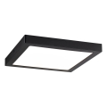 Plafonieră ABIA 230V LED/22W Paulmann 70985