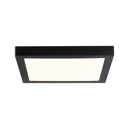 Plafonieră ABIA 230V LED/22W Paulmann 70985