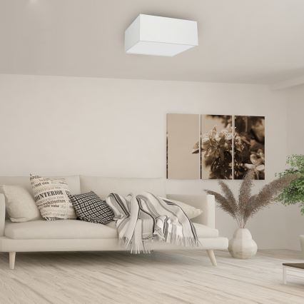 Plafonieră ALBION 3xE27/60W/230V