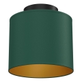 Plafonieră ARDEN, 1 x E27, 15 W, 230 V, Ø 18 cm, verde