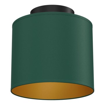 Plafonieră ARDEN, 1 x E27, 15 W, 230 V, Ø 18 cm, verde