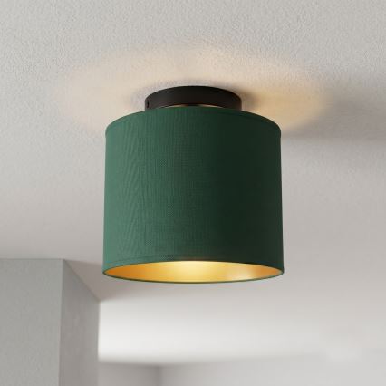 Plafonieră ARDEN, 1 x E27, 15 W, 230 V, Ø 18 cm, verde