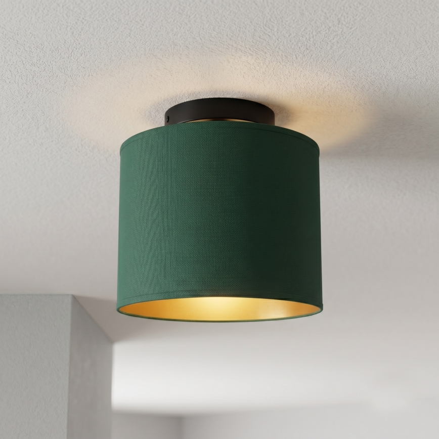 Plafonieră ARDEN, 1 x E27, 15 W, 230 V, Ø 18 cm, verde