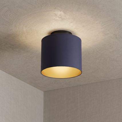 Plafonieră ARDEN 1xE27/15W/230V Ø 18 cm, albastru
