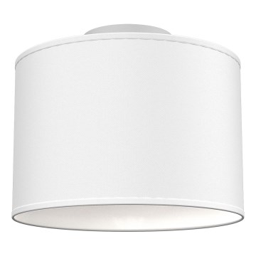 Plafonieră ARDEN 1xE27/15W/230V Ø 25 cm albă