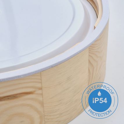 Lumină de plafon pentru baie NATURAL 3xE27/15W/230V IP54 pin ? 37 cm