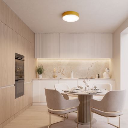 Plafonieră CLEO cu senzor de mișcare și de amurg, 1xE27/40W/230V, Ø 20 cm, auriu