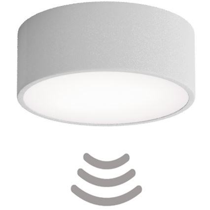 Plafonieră cu senzor Brilagi CLARE 1xE27/40W/230V d. 20 cm gri