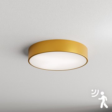 Plafonieră cu senzor Brilagi CLARE 3xE27/40W/230V d. 40 cm auriu
