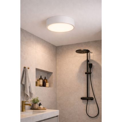 Plafonieră de baie Brilagi POOL, 2 x E27, 15 W, 230 V, Ø 30 cm, IP54, alb