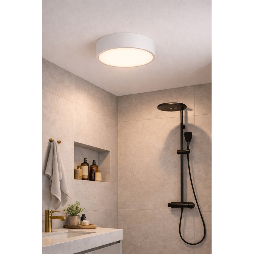 Plafonieră de baie Brilagi POOL, 2 x E27, 15 W, 230 V, Ø 30 cm, IP54, alb