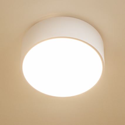 Plafonieră de baie Brilagi POOL, 2 x E27, 15 W, 230 V, Ø 30 cm, IP54, alb