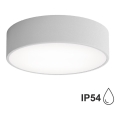 Plafonieră de baie CLEO cu senzor, 2xE27, 24W, 230V, Ø 30 cm, gri, IP54