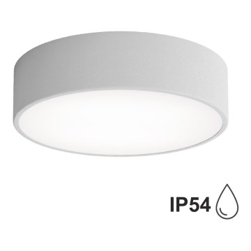 Plafonieră de baie CLEO cu senzor, 2xE27, 24W, 230V, Ø 30 cm, gri, IP54