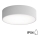 Plafonieră de baie CLEO cu senzor, 2xE27, 24W, 230V, Ø 30 cm, gri, IP54